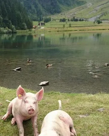 Appartement Loeschenbrandhof