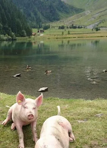 Апартаменты Loschenbrandhof