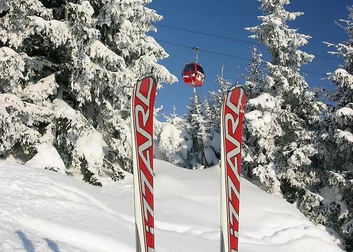 Loschenbrandhof Апартаменты